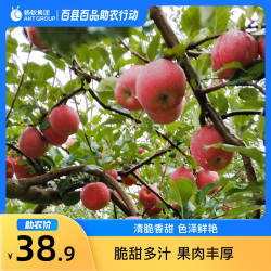 10月百县百品助农贵州威宁苹果4.5斤