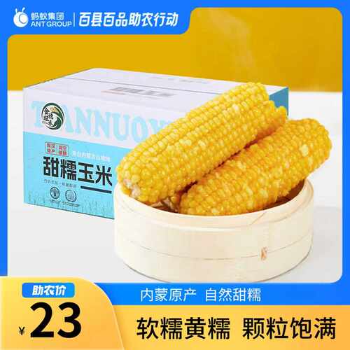 内蒙古敖汉旗黄糯玉米1.6kg/1箱