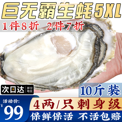 生蚝乳山特大号5xl鲜活直达