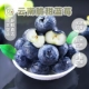 云南蓝莓顺丰空运新鲜树熟现摘现发高山脆甜蓝莓超大果当季