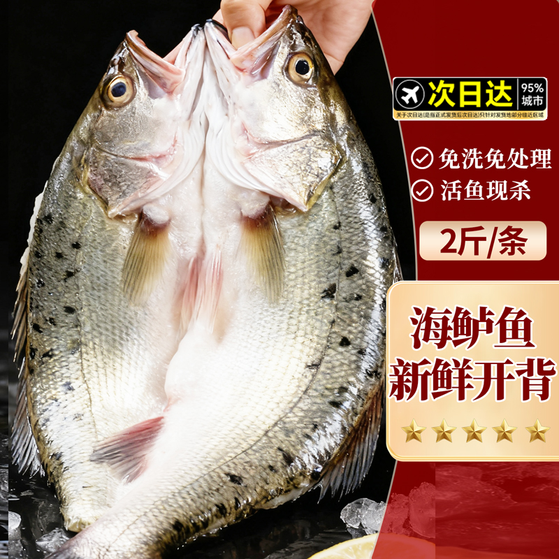 海鲈鱼开背海鱼新鲜冷冻鲜活深海白蕉七星水产特大烤鱼半成品商用