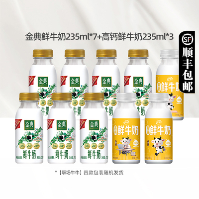金典鲜牛奶235ml*7+高钙235ml*3