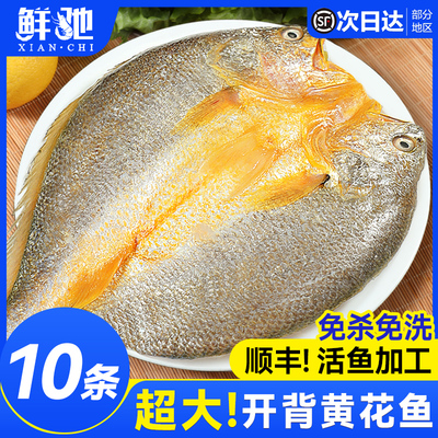 黄鱼鲞开背新鲜冷冻黄花鱼三免大黄鱼生鲜海小黄鱼烧烤商用半成品