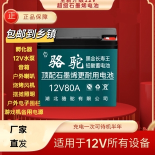 12V电瓶100A30安大容l量夜市摆摊灯箱专用干电瓶铅酸骆驼蓄电池