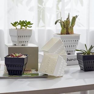 云朵控根花盆透气塑料多肉万象生石花专用育苗黑白方盆带底托定制