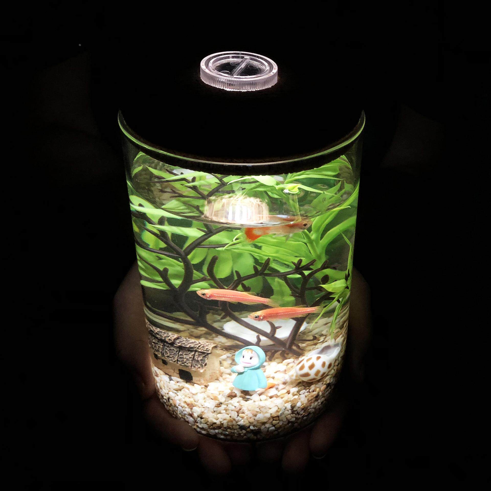 带七彩灯夜光透明玻璃瓶家居摆件 海底微景观DIY创意瓶套装小鱼缸