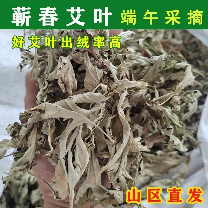 500g装湖北蕲春艾草包 端午艾草泡脚洗澡足浴干艾叶 纯艾草叶