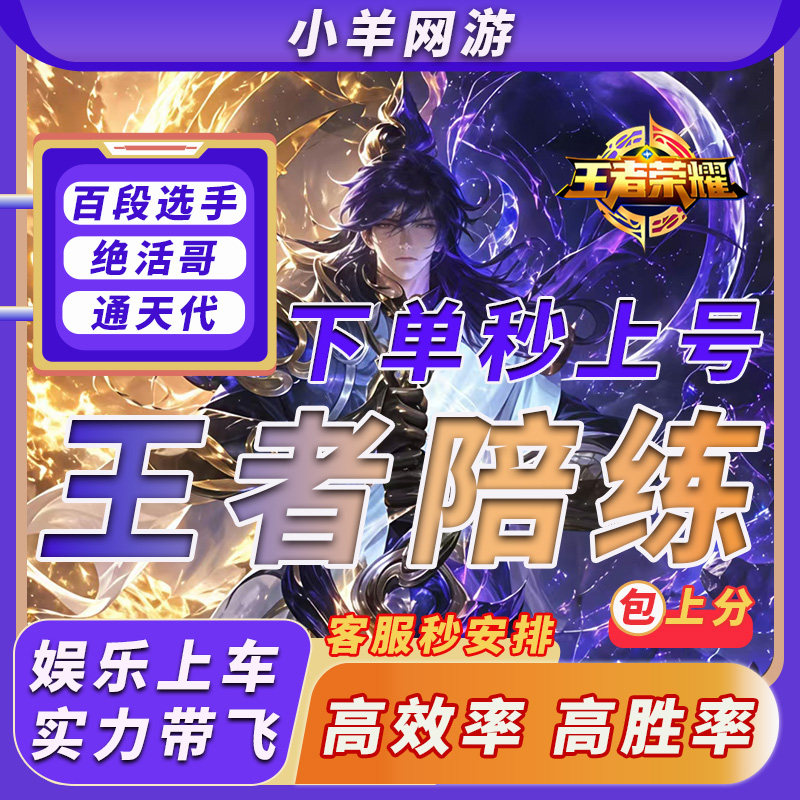王者荣耀代练代打陪练陪玩上分巅峰赛大小国标上分车队超高效率图片