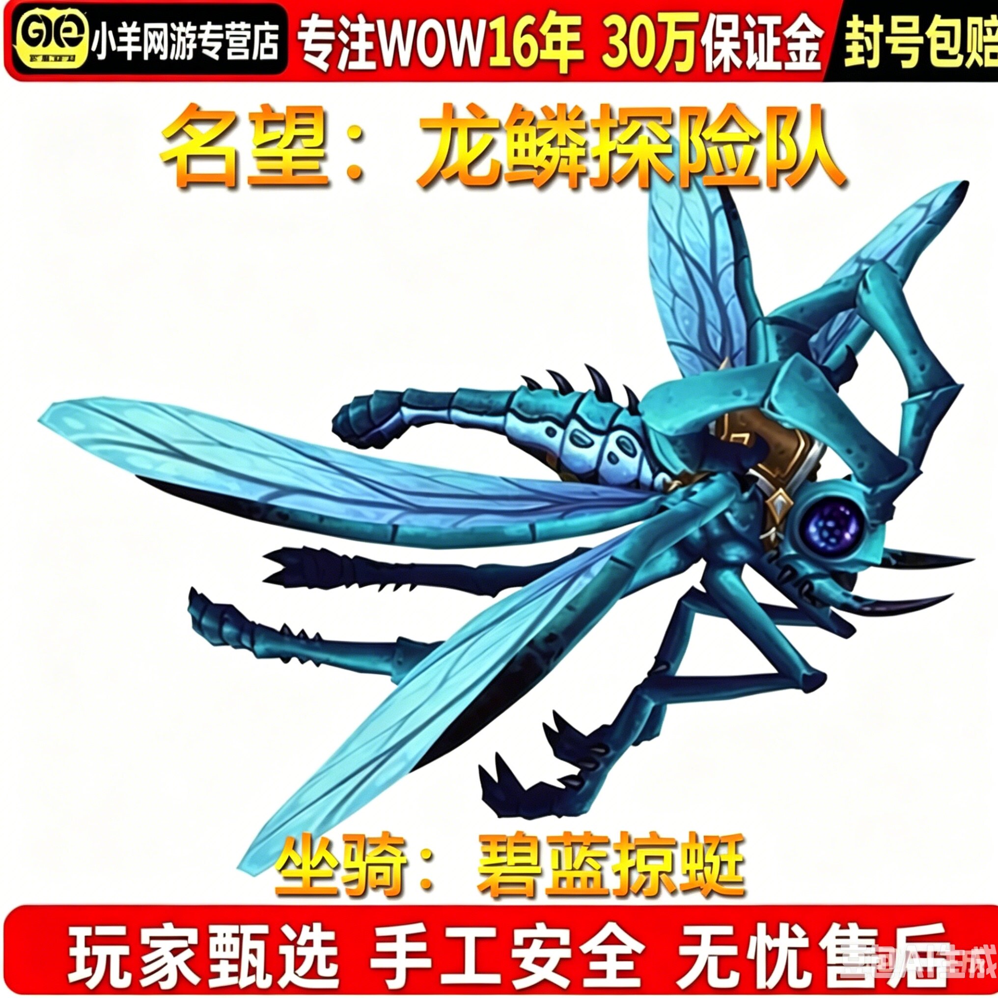 魔兽世界代练手工任务巨龙群岛龙鳞探险队名望25级碧蓝掠蜓坐骑