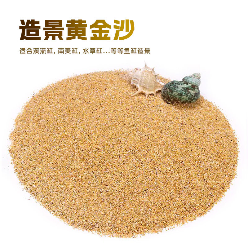 黄金沙南美三湖鼠鱼底沙鱼缸草缸水陆造景天然细河沙水草砂化妆沙