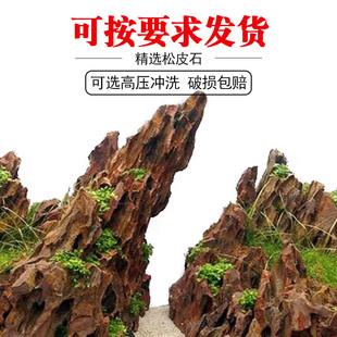 松皮石鱼缸造景石水陆缸草缸假山青龙石天然水陆盆景草缸生态原石