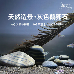 鹅卵石鱼缸造景天然黑青灰色纯色底沙砂原生溪流缸水族装饰石头