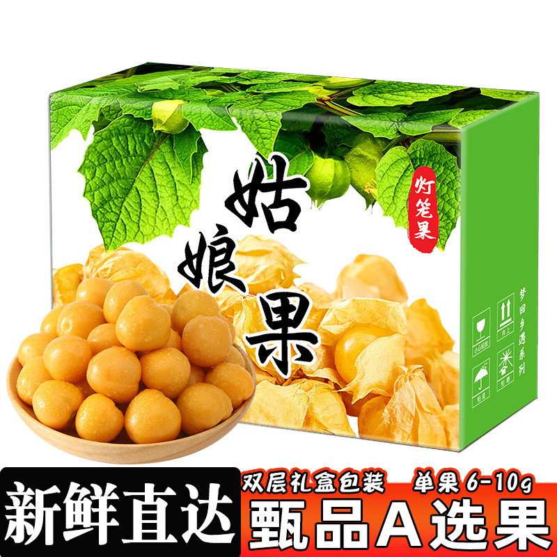 东北特产黄菇娘果当季大果灯笼果