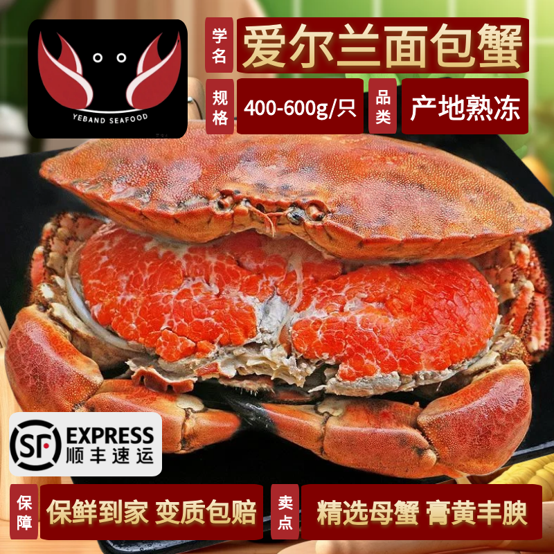 熟冻面包蟹400-600g/只 母蟹大螃蟹特大膏蟹海鲜水产鲜活生鲜海蟹,水产肉类/新鲜蔬果/熟食,黄金蟹,淘宝优惠券,粉丝福利购,淘宝优惠卷