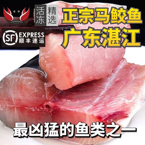 正宗湛江马鲛鱼
