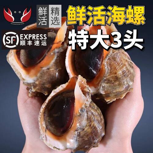 鲜活发货