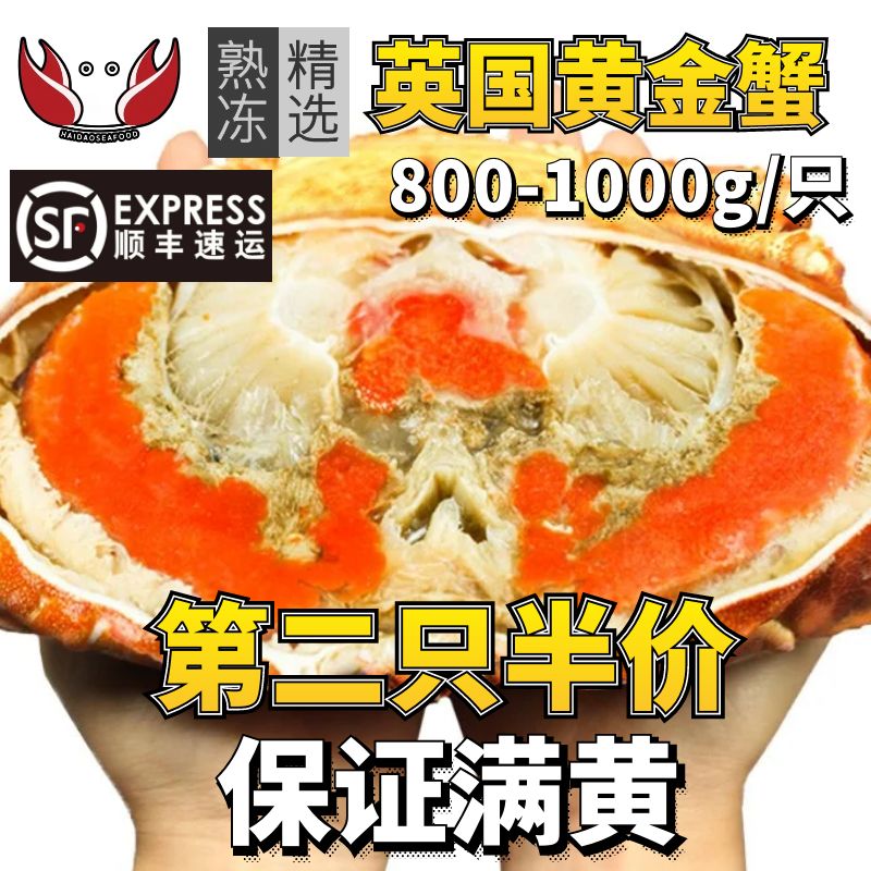 熟冻面包蟹800-1000g/只母蟹大螃蟹特大膏蟹海鲜水产鲜活生鲜海蟹