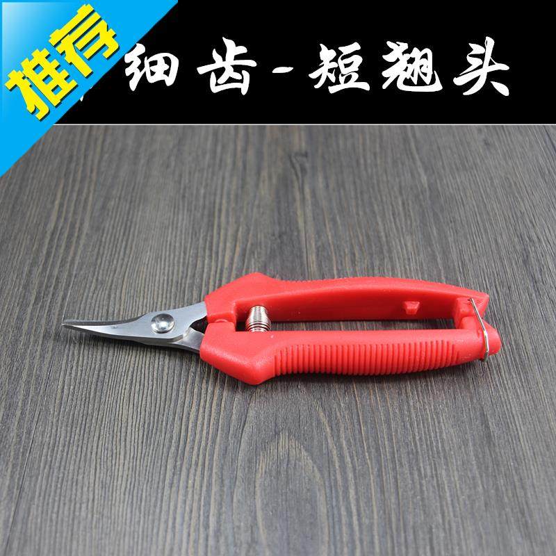 园艺剪刀树枝修枝果树葡萄剪子园林摘果剪花艺工具家用摘水果神r|ruв категории доставка цветов/цветок моделирования/растения садоводства, садовых принадлежностей, садоводство/нож/сдвиг/пила (новый), ножницы - от Buy2taobao.com для оказания профессиональной услуги покупки агента Taobao