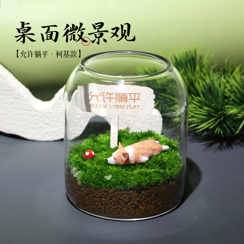 苔藓微景观桌面小房造景材料