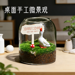 绿植生态瓶材料微景观苔藓桌面小房造景植物摆件DIY创意礼物减压