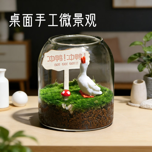 苔藓微景观生态瓶DIY减压礼物