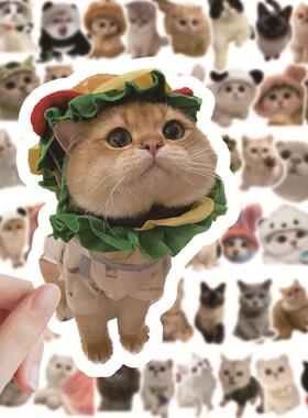 60 Pcs Kawaii Cat Stickers Aesthetic Stationary Cute Sticker