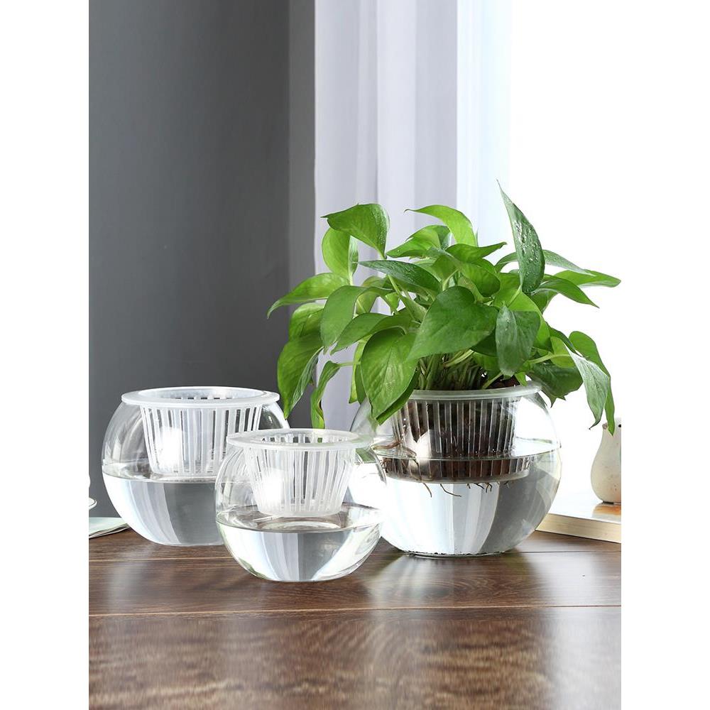 Vase furnishing articles flower arranging transparent glass