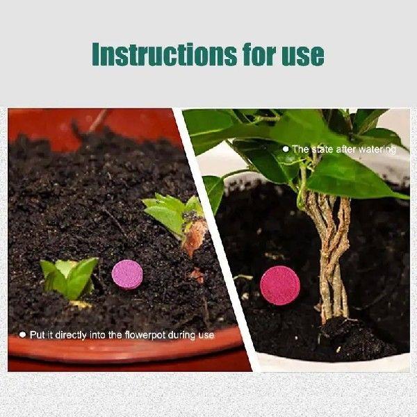 Slow Release Fertilizer Nutritionally Balanced Organic