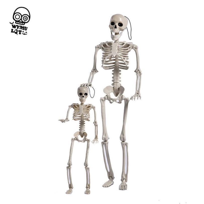Halloween skeleton pose standing human simulation万圣骷髅架