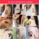 Water Semi Stickers 4PCS Tattoo Colors Permanent Vivid