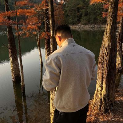 GTAL美式立领拉链卫衣500