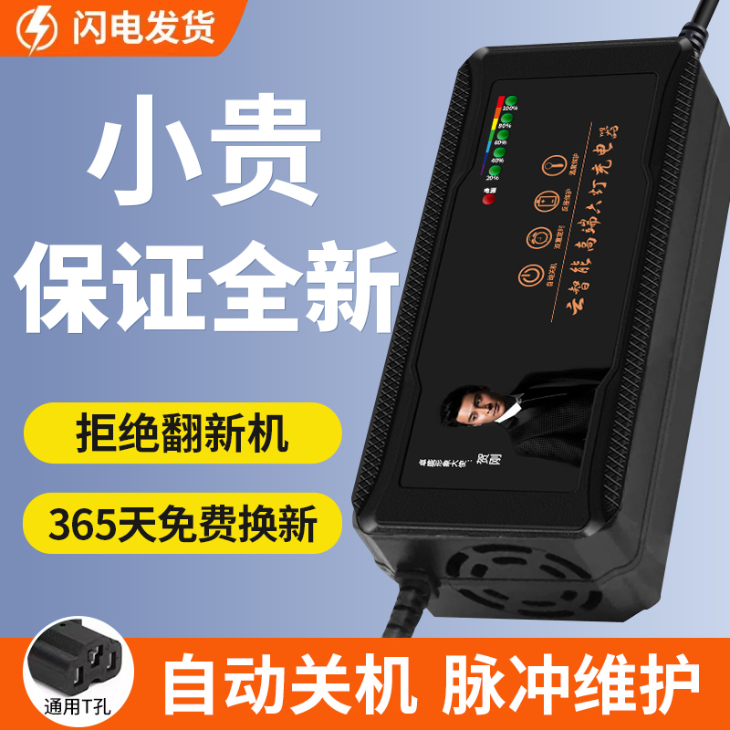 自动断电电动车电瓶充电器