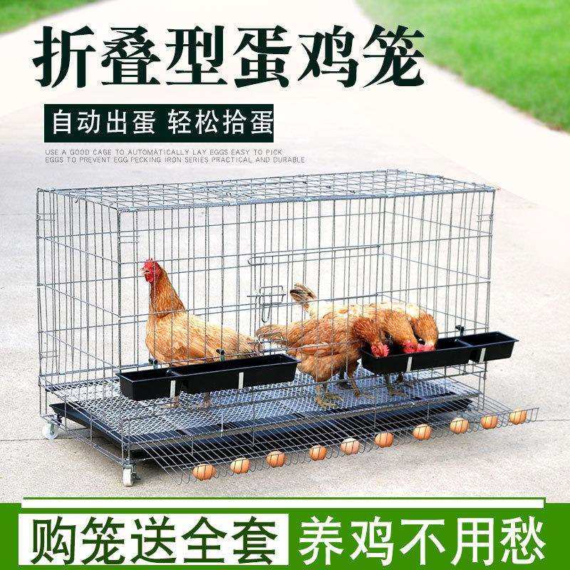 鸡笼子家用室外防雨自动滚蛋家庭养鸡出蛋养殖笼鸡舍简易大号特大