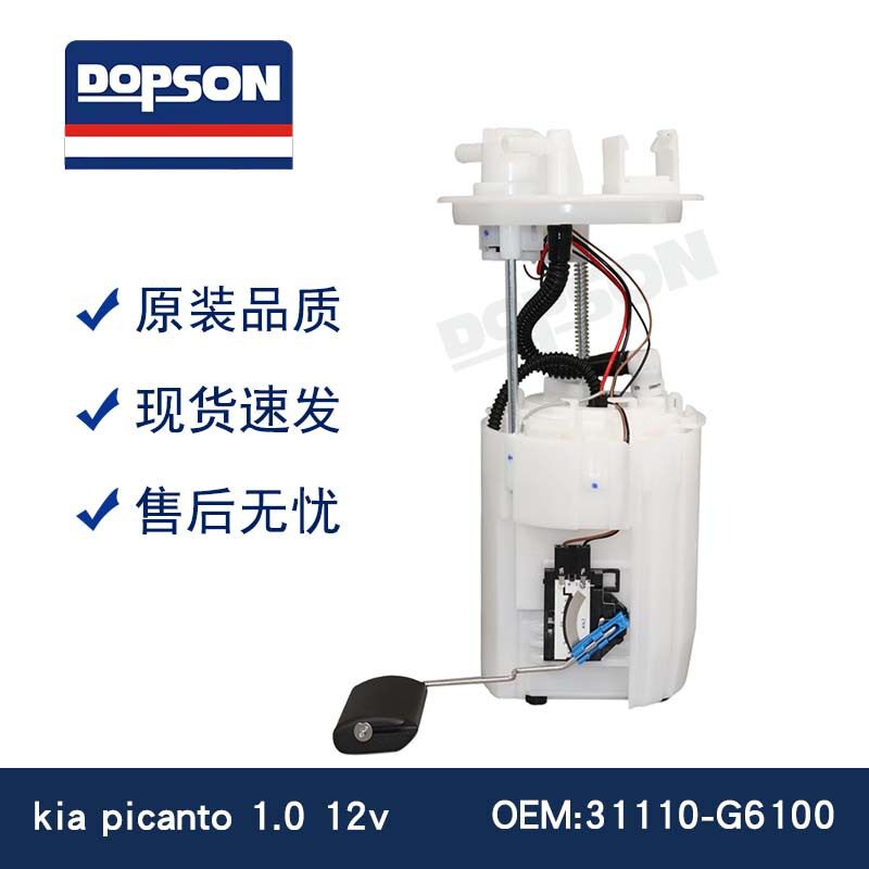 Picoanto1.012V燃油泵总成