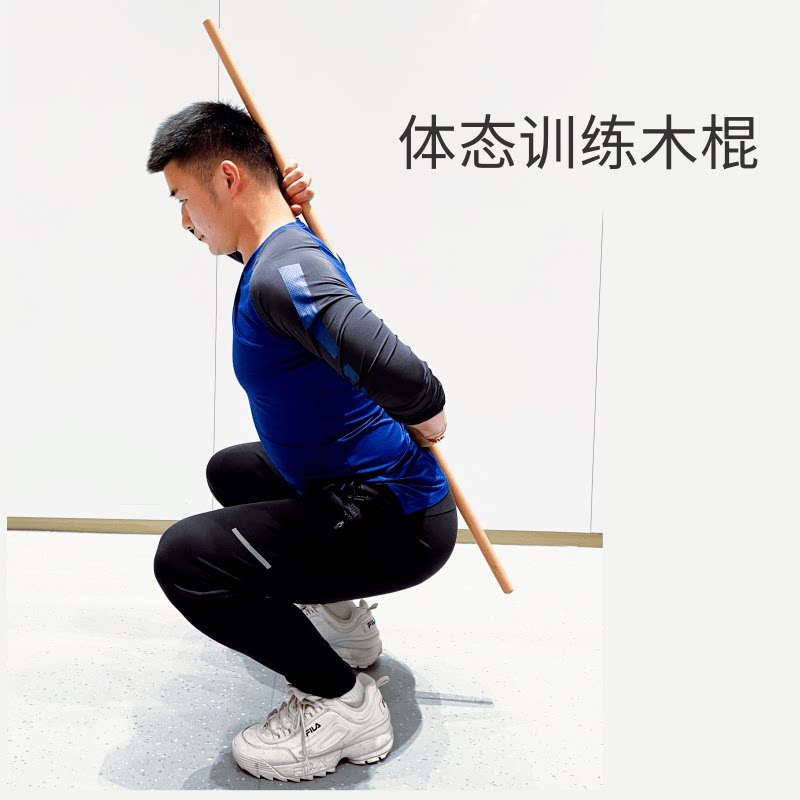健身武术体态评估纠正木棍