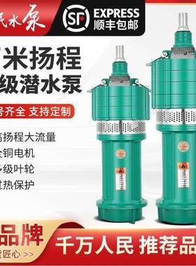 人民水泵多级潜水泵小老鼠上海高扬程大流量220v深井泵380v抽水泵