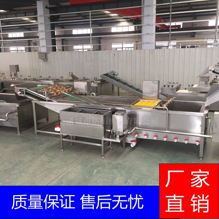 果蔬气泡清洗机喷淋提升去污