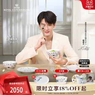 RoyalCopenhagen皇家哥本哈根手繪餐具套裝 餐盤碗 檀健次同款