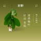 於野甄选柚子叶单方精油5ml 中国柚子碌柚叶精油香薰香氛水加湿器