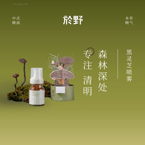 於野黑灵芝专注喷雾注意力集中