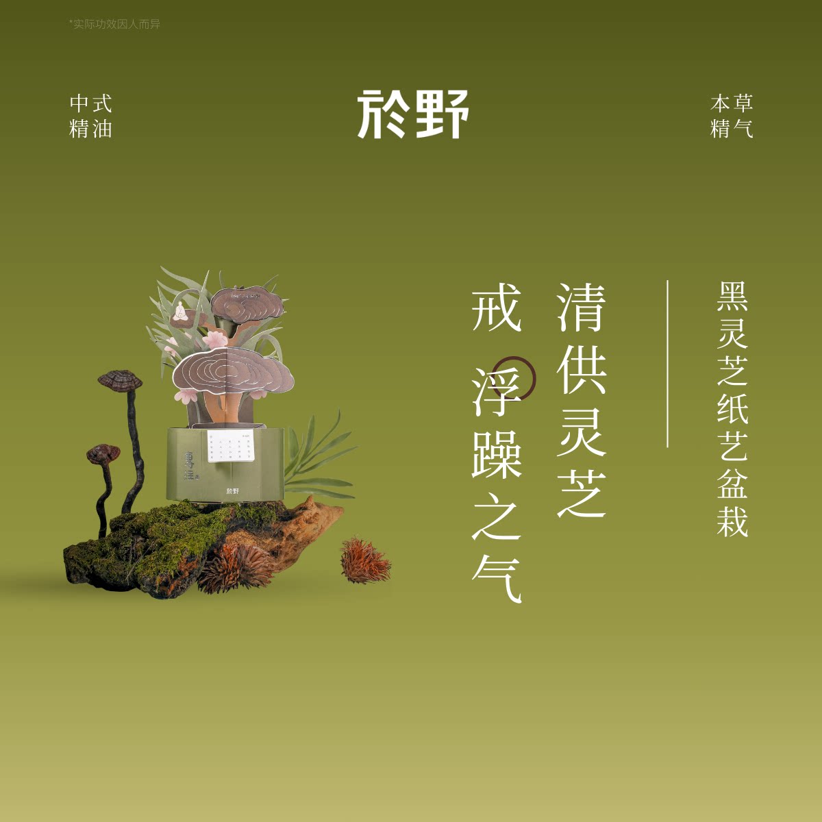 於野黑灵芝专注纸艺扩香盆栽图片