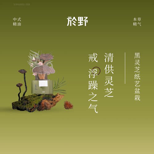 於野黑灵芝专注纸艺扩香盆栽