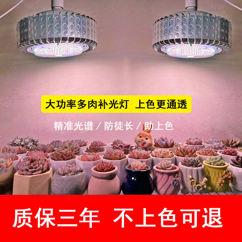 核管家多肉补光灯筒灯家用上色防徒长室内大棚绿植花卉育苗全光谱