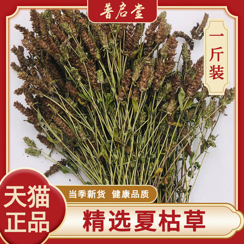 干货河南夏枯草普启堂中草药
