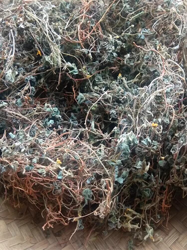 贵州野生酢浆草500克 中药材红杆酸浆草酸咪咪斑鸠酸三叶酸新干货