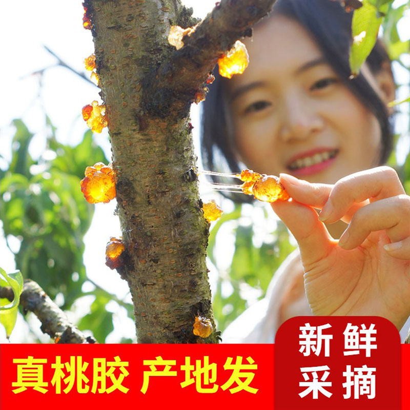 天然野生正品桃胶原产地直发