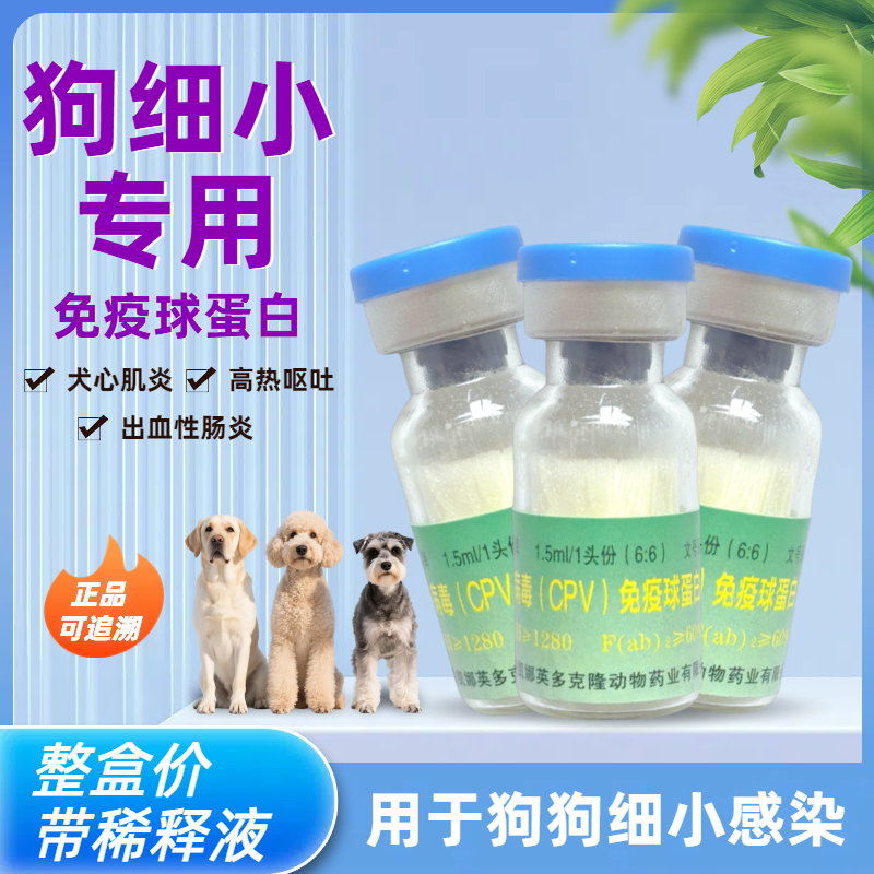 狗细小治疗药套餐温热病狗瘟免疫球蛋白单抗狗狗呕吐便血发烧专用