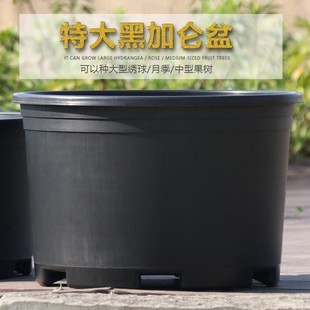 花盆大口径30以上矮盆高颜值2024年新款50塑料40特大号加仑加厚敞