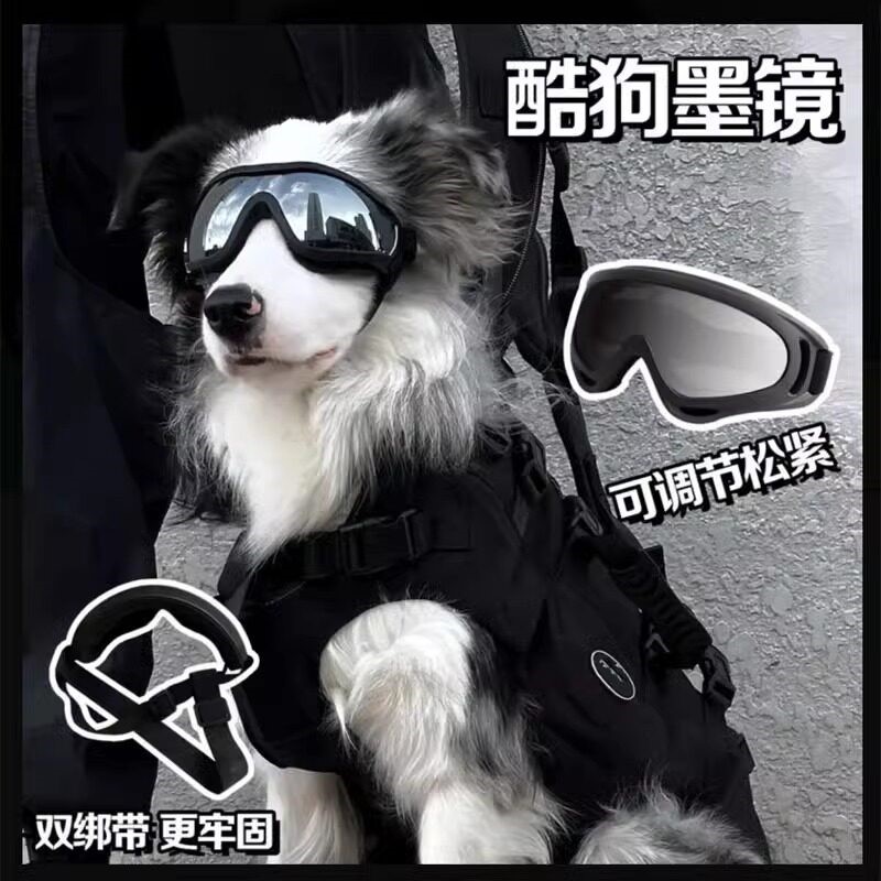 立减5元陨石边牧狗狗护目镜