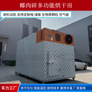 椰肉碎烘干机烘椰子胚乳椰蓉椰丝烧颗粒烘干设备 椰子果肉烘干房